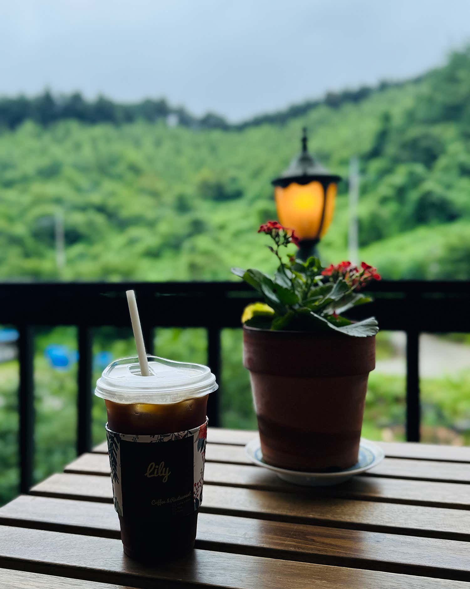 릴리 대표 메뉴